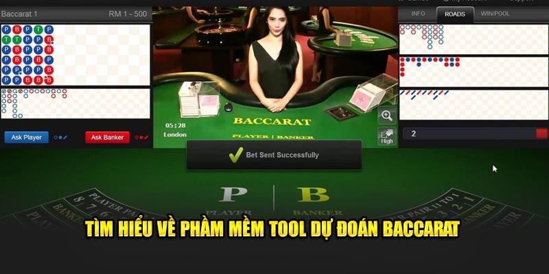 Tool dự đoán Baccarat